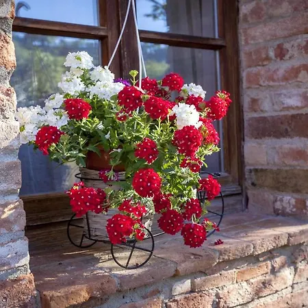 Charming In 45m² With Shared Pool Appartamento Montepulciano Stazione